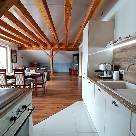 Barytowy Apartament Tarnowskie Góry Εξωτερικό φωτογραφία
