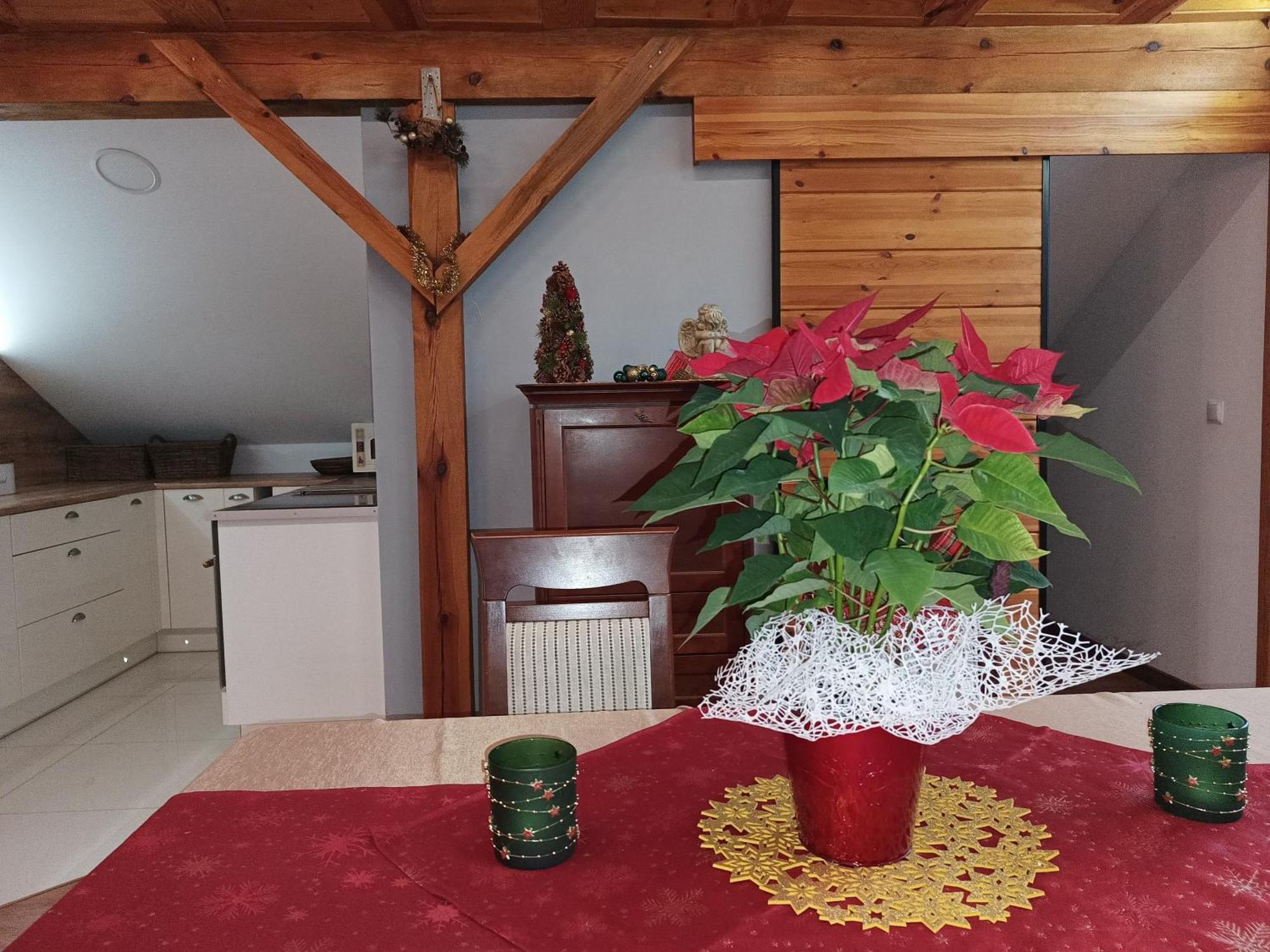 Barytowy Apartament Tarnowskie Góry Εξωτερικό φωτογραφία