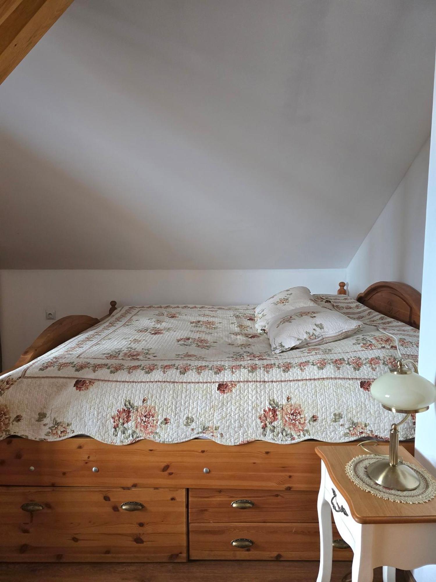 Barytowy Apartament Tarnowskie Góry Εξωτερικό φωτογραφία